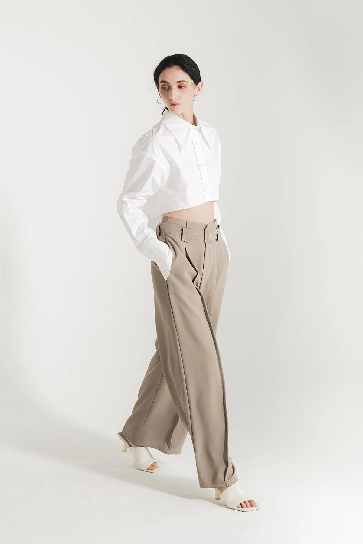 Calleane Belted High Waist Wide Pants